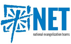 net logo