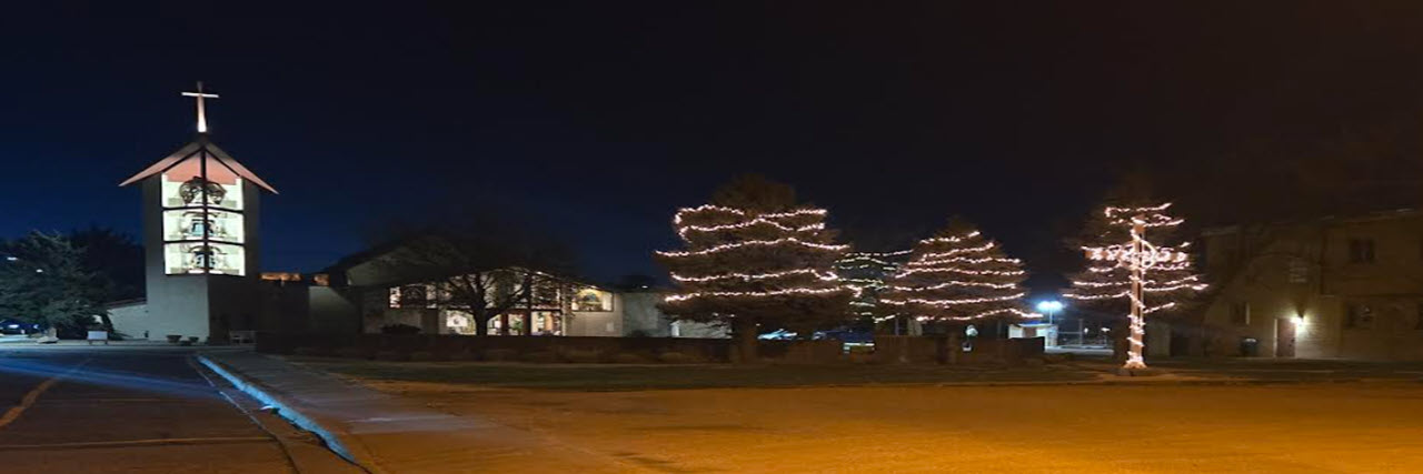 Outdoor Christmas Lights