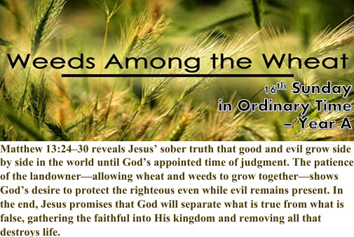 sj 16th sunday ot